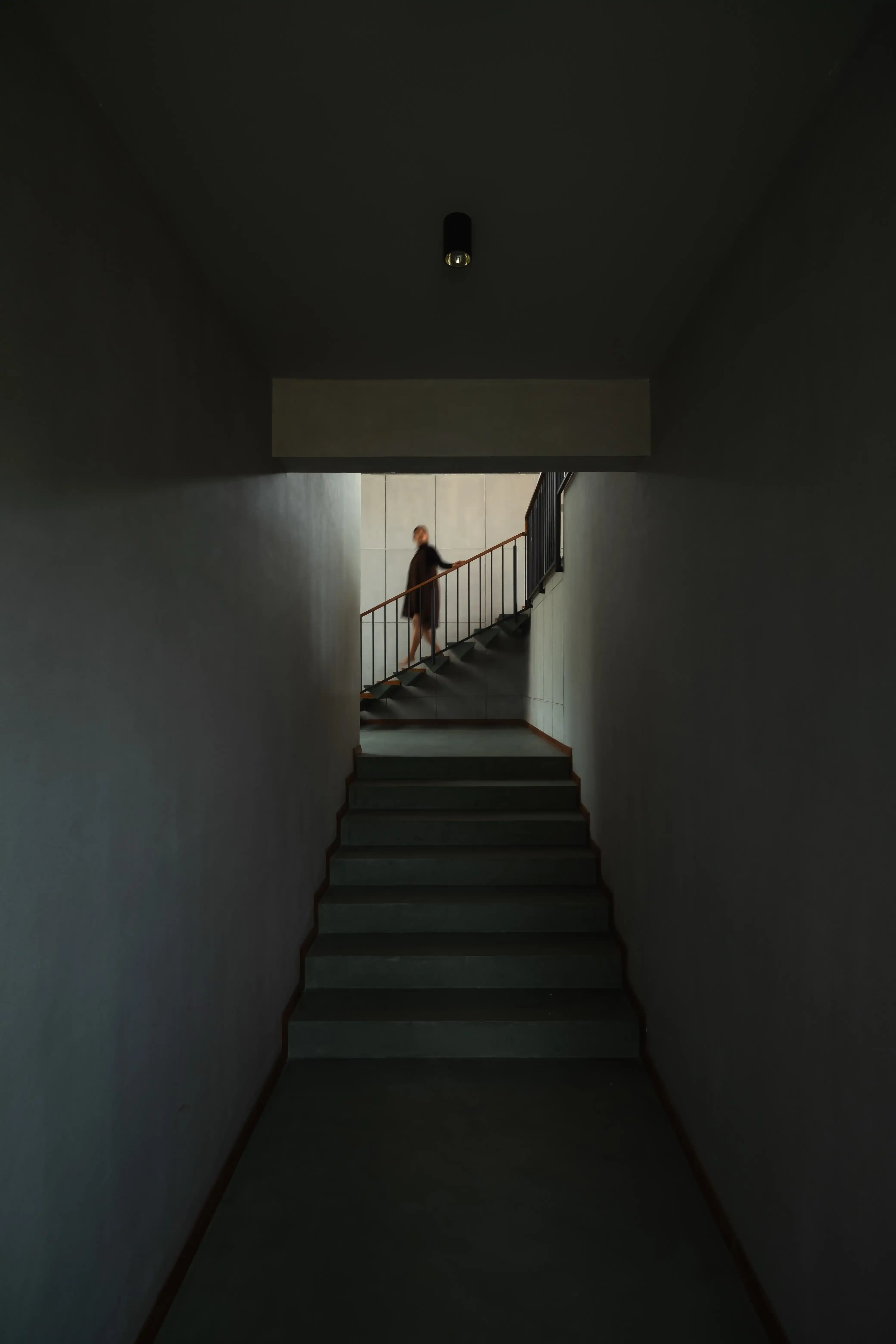 Final delivered architectural photograph - exterior view through foliage
