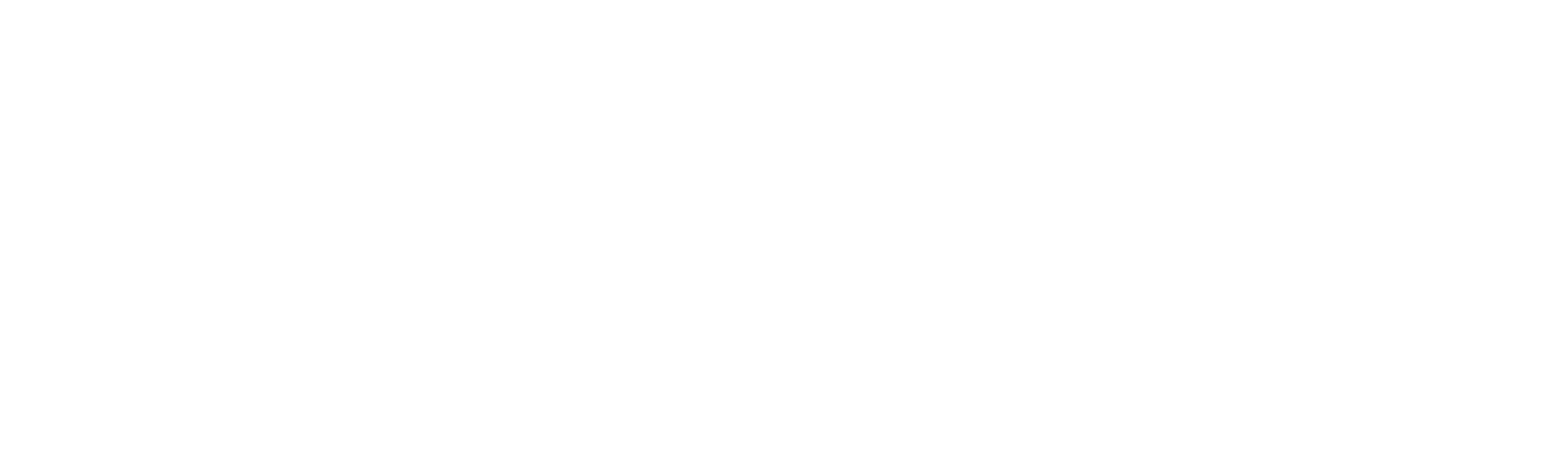 FDN